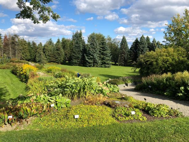 NTNU Ringve Botanical Garden