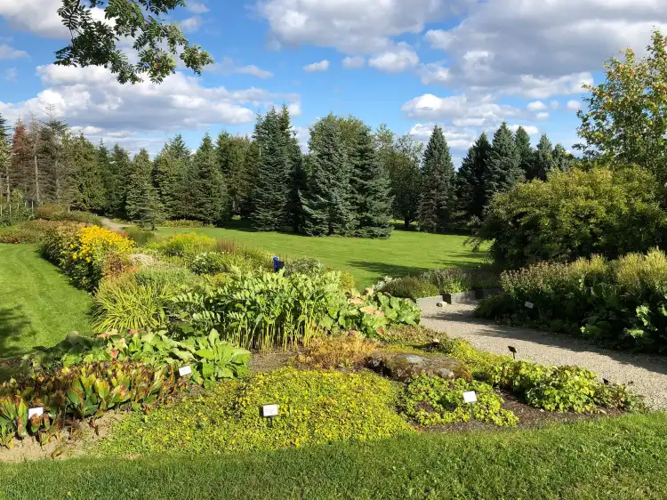 Hotels near NTNU Ringve Botanical Garden