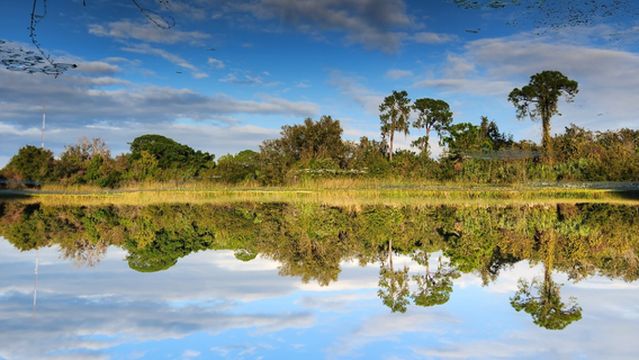 Boca Ciega Millennium Park