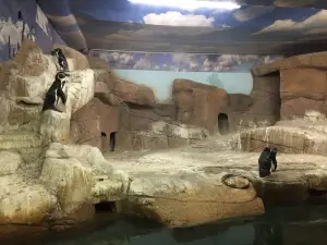 Ocean Aquarium