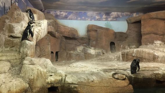 Ocean Aquarium