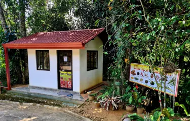 Ella Spice Garden
