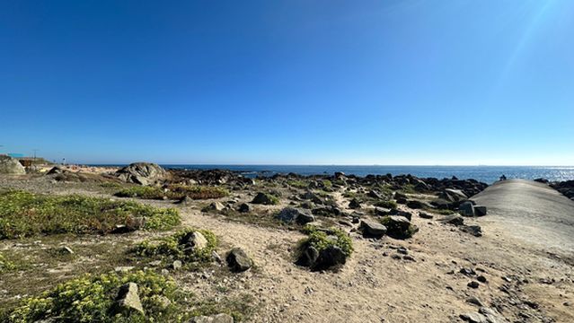 Forte de São Francisco Xavier