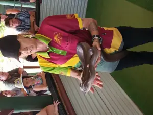 Snakes Downunder Reptile Park and Zoo