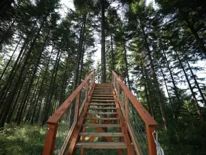 Pumpkin Ridge Zip Tour