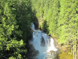 Crazy Creek Waterfall & Suspension Bridge