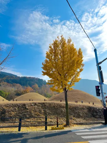 District de Changnyeong