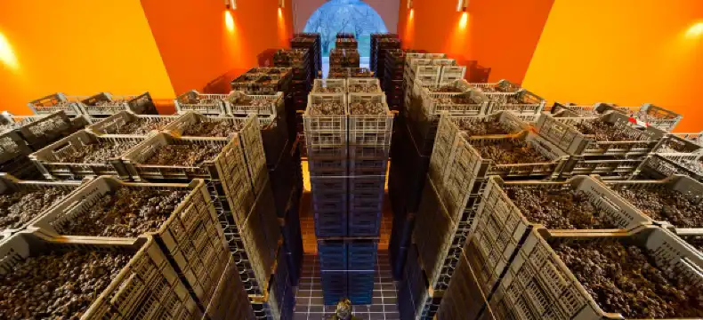 Hotel a Negrar di Valpolicella