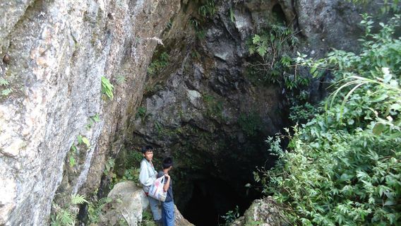 Dalaguete