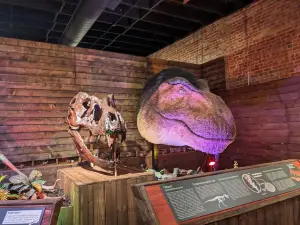 The Whiteside Museum of Natural History