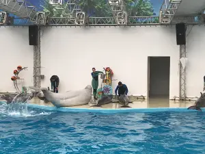 Anapa Dolphinarium (Nemo)