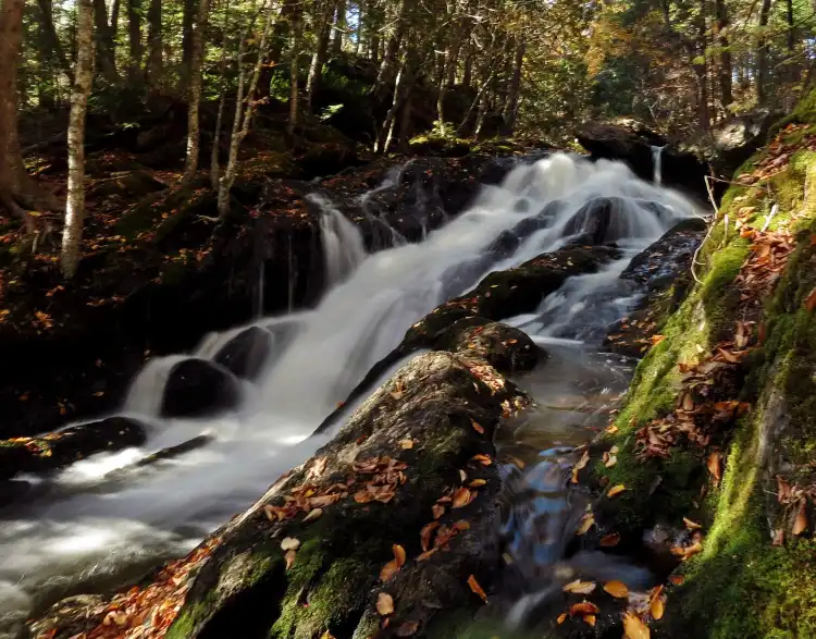 Hotels in Kings County