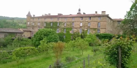 Les Amis des Antonins