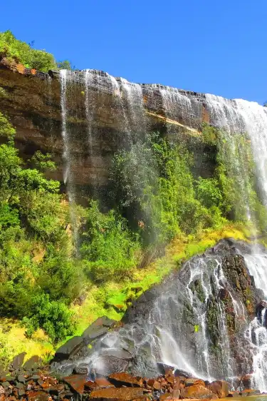 صديق للحيوانات الاليفة Hotels in بارانا, البرازيل