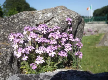 Abbeyleix Heritage House
