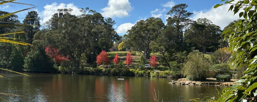 Mittagong