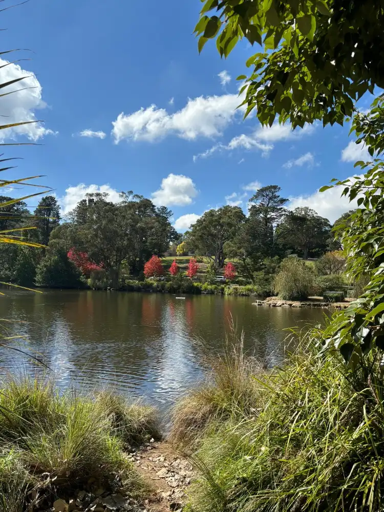 Mittagong
