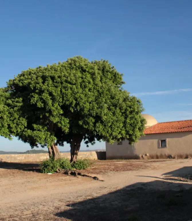 Sao Pedro e Santiago