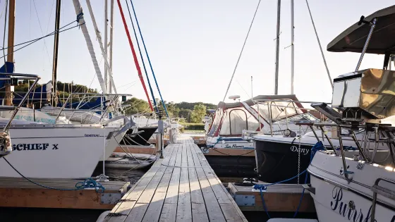 Treasure Island Marina