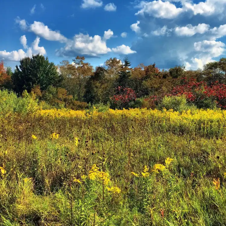 Hotels in Athens Township