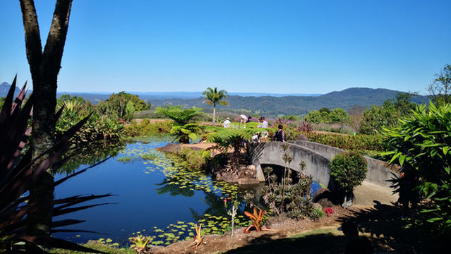 Redcliffe Botanic Gardens