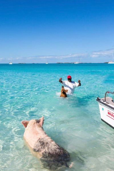 South Andros to Staniel Cay Flights