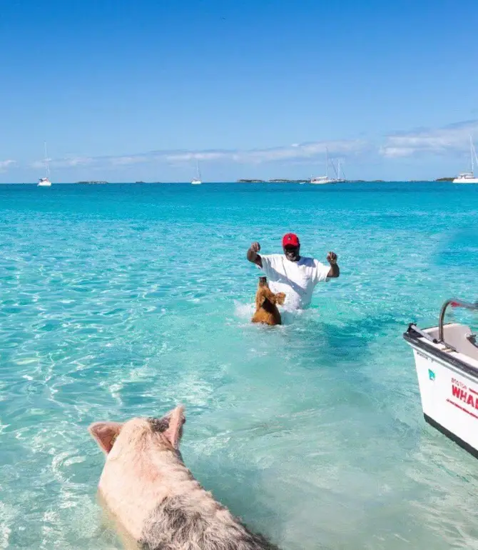 Staniel Cay