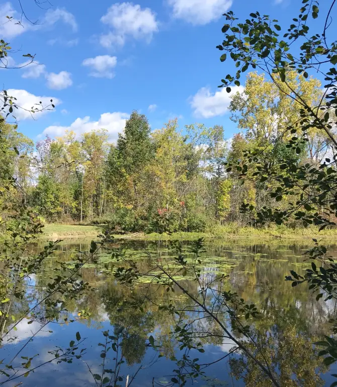 West Bloomfield Township