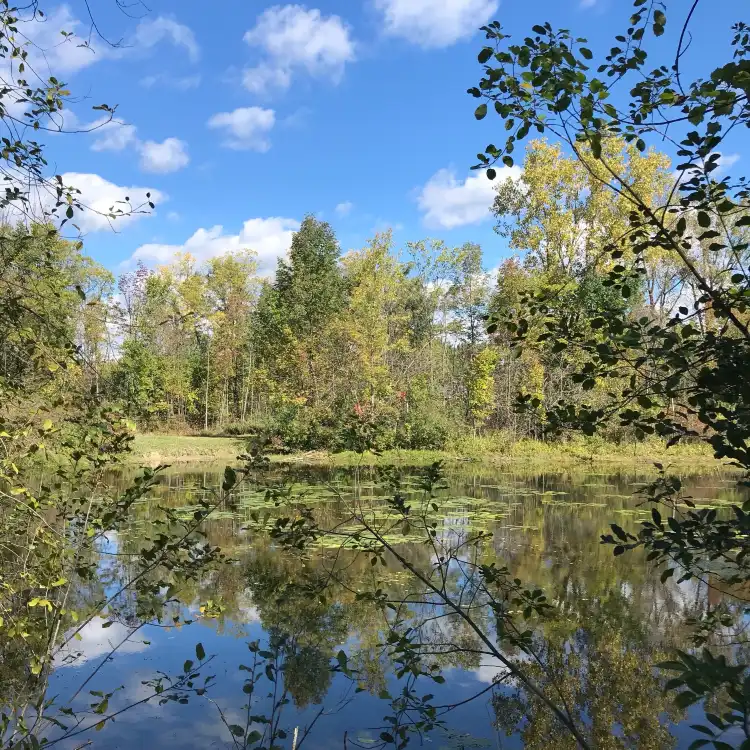 Hoteles en Municipio de West Bloomfield