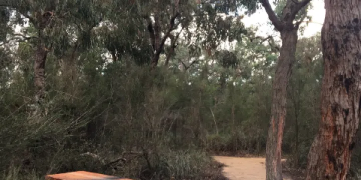 Stringybark Picnic Area