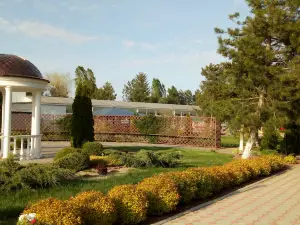 Donskaya Volna