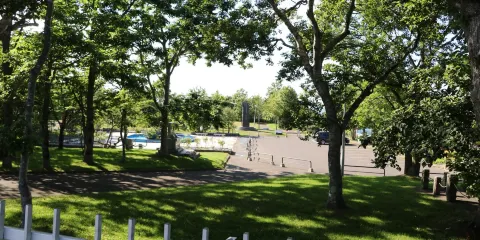 Tokiwadai Park