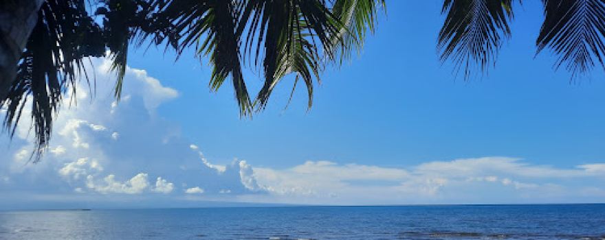 Rare Sea Breeze Resort