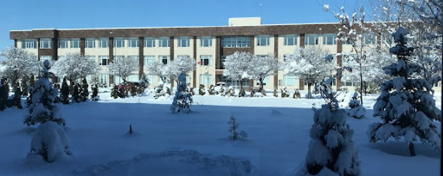Omar Halisdemir University Library