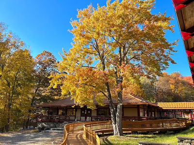 Chuang Yen Monastery
