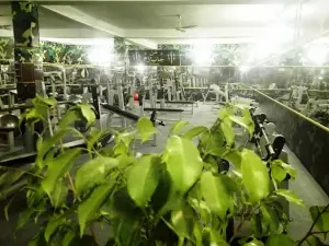 FLEX GYM