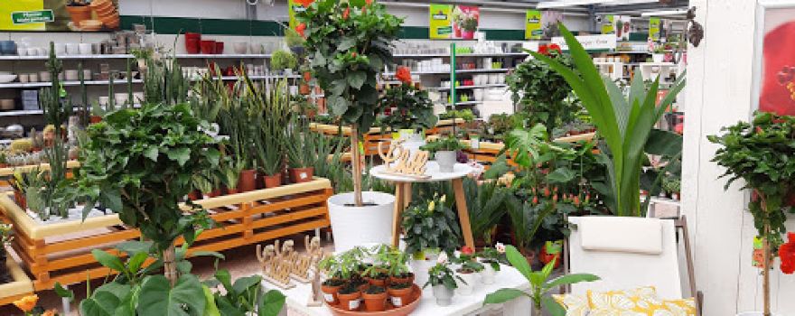 Dehner Garten-Center