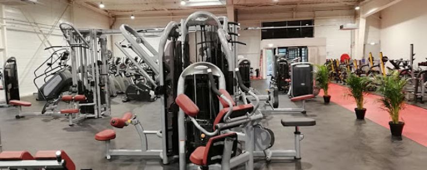 All My Gym