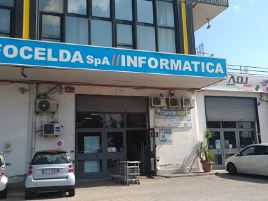 Focelda Ltd