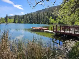Willow Spring's Resort
