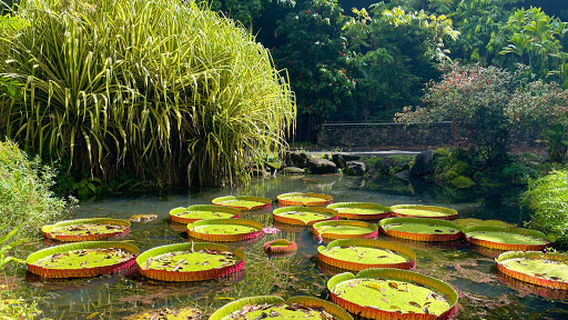 Waimea Botanical Garden