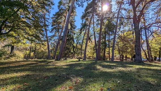 Плато Боржоми