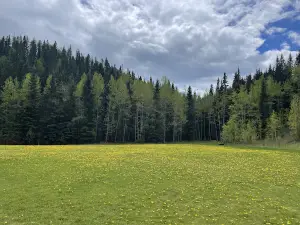 Camp Caroline