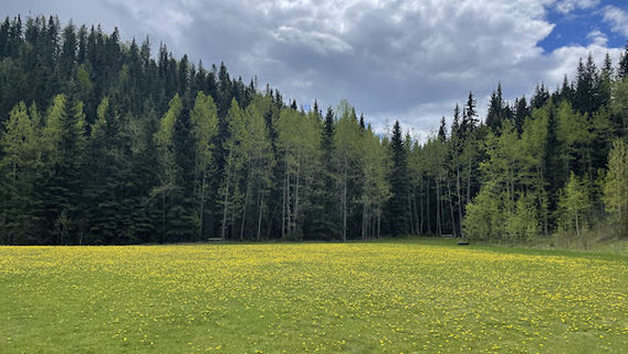 Clearwater County