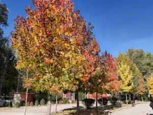 Zona esportiva del Parc de la Roca del Call