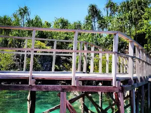 Tanjung BONGO - Raja Ampat Mini