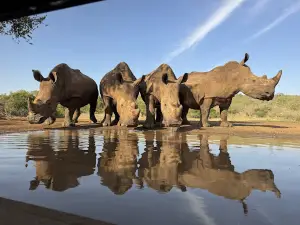Zimanga Private Game Reserve