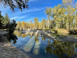 Chief Looking Glass Campground