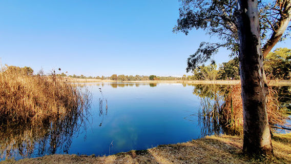 4ways Farmers Market