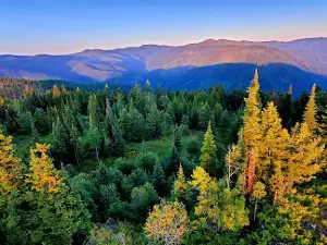 Yaak Mountain Lookout